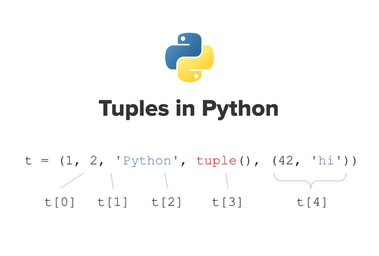 Tuples In Python Codingal